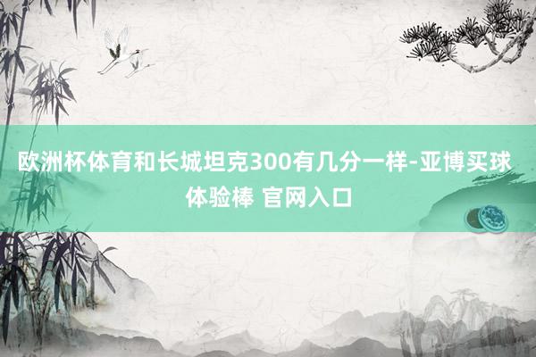 欧洲杯体育和长城坦克300有几分一样-亚博买球 体验棒 官网入口