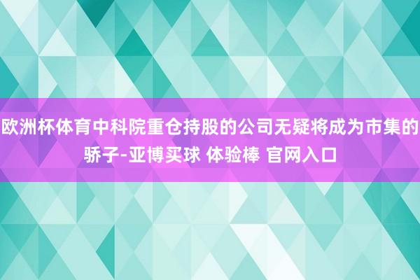 欧洲杯体育中科院重仓持股的公司无疑将成为市集的骄子-亚博买球 体验棒 官网入口