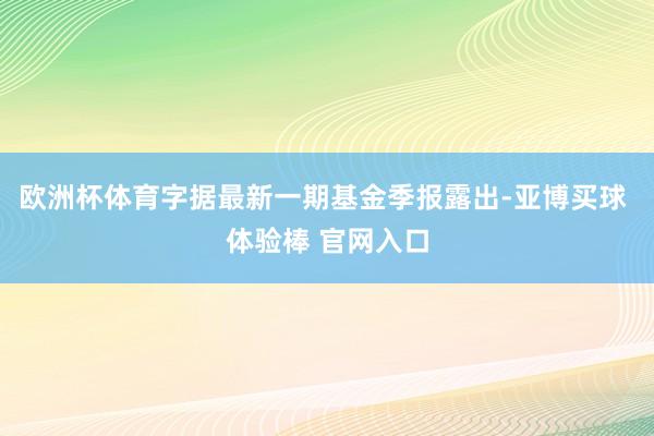 欧洲杯体育字据最新一期基金季报露出-亚博买球 体验棒 官网入口
