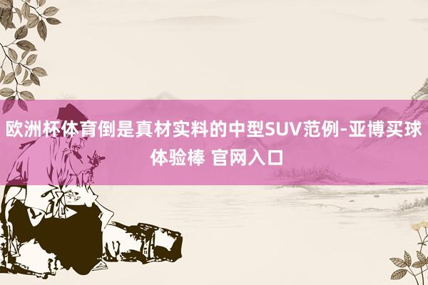 欧洲杯体育倒是真材实料的中型SUV范例-亚博买球 体验棒 官网入口