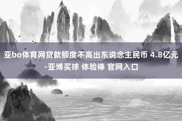 亚bo体育网贷款额度不高出东说念主民币 4.8亿元-亚博买球 体验棒 官网入口