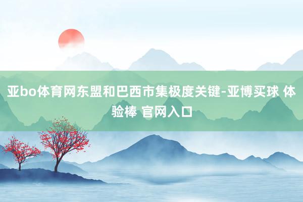 亚bo体育网东盟和巴西市集极度关键-亚博买球 体验棒 官网入口