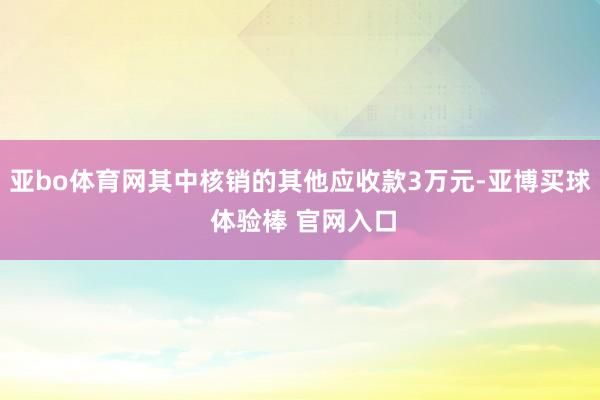 亚bo体育网其中核销的其他应收款3万元-亚博买球 体验棒 官网入口