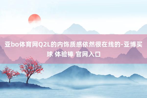 亚bo体育网Q2L的内饰质感依然很在线的-亚博买球 体验棒 官网入口