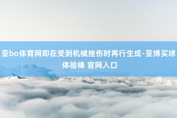 亚bo体育网即在受到机械挫伤时再行生成-亚博买球 体验棒 官网入口