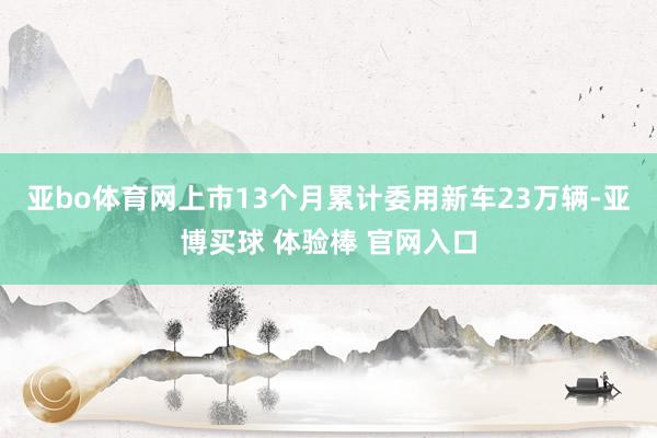 亚bo体育网上市13个月累计委用新车23万辆-亚博买球 体验棒 官网入口