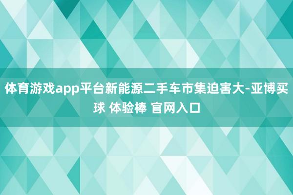 体育游戏app平台新能源二手车市集迫害大-亚博买球 体验棒 官网入口