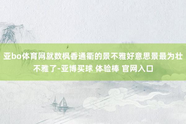 亚bo体育网就数枫香通衢的景不雅好意思景最为壮不雅了-亚博买球 体验棒 官网入口