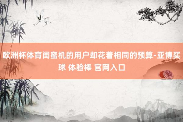 欧洲杯体育闺蜜机的用户却花着相同的预算-亚博买球 体验棒 官网入口