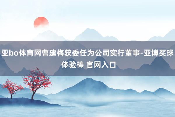 亚bo体育网曹建梅获委任为公司实行董事-亚博买球 体验棒 官网入口