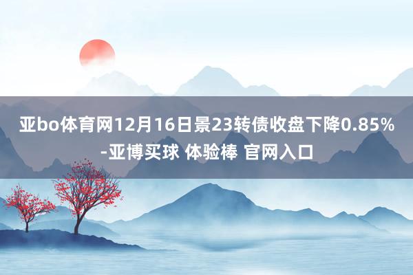 亚bo体育网12月16日景23转债收盘下降0.85%-亚博买球 体验棒 官网入口