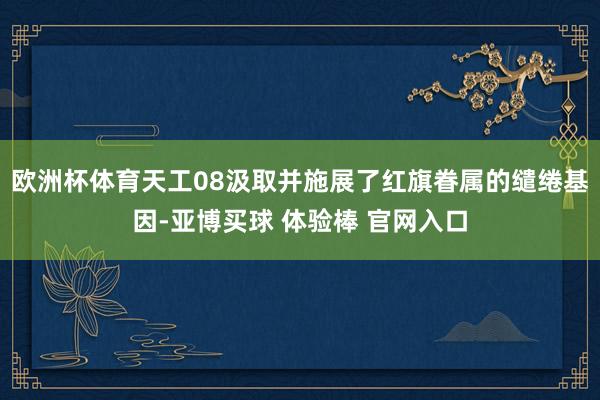 欧洲杯体育天工08汲取并施展了红旗眷属的缱绻基因-亚博买球 体验棒 官网入口