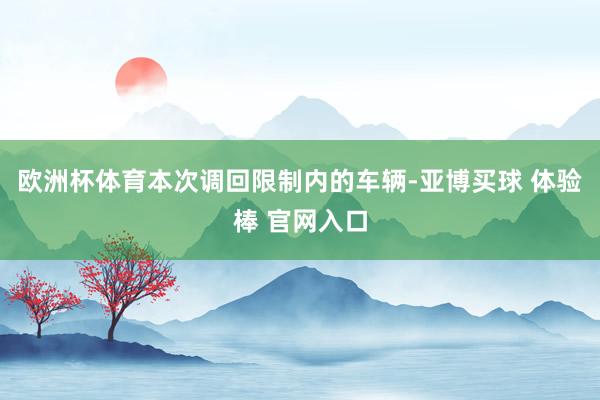 欧洲杯体育本次调回限制内的车辆-亚博买球 体验棒 官网入口