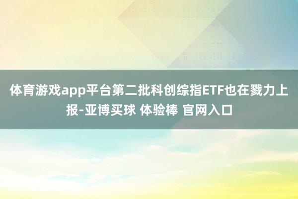 体育游戏app平台第二批科创综指ETF也在戮力上报-亚博买球 体验棒 官网入口