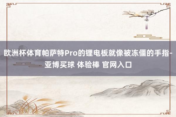 欧洲杯体育帕萨特Pro的锂电板就像被冻僵的手指-亚博买球 体验棒 官网入口