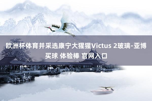 欧洲杯体育并采选康宁大猩猩Victus 2玻璃-亚博买球 体验棒 官网入口