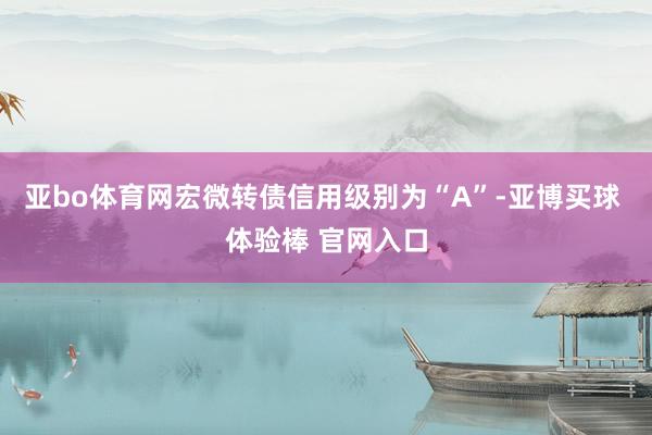 亚bo体育网宏微转债信用级别为“A”-亚博买球 体验棒 官网入口
