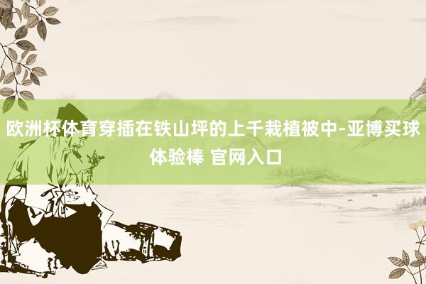 欧洲杯体育穿插在铁山坪的上千栽植被中-亚博买球 体验棒 官网入口
