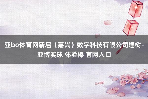 亚bo体育网新启（嘉兴）数字科技有限公司建树-亚博买球 体验棒 官网入口