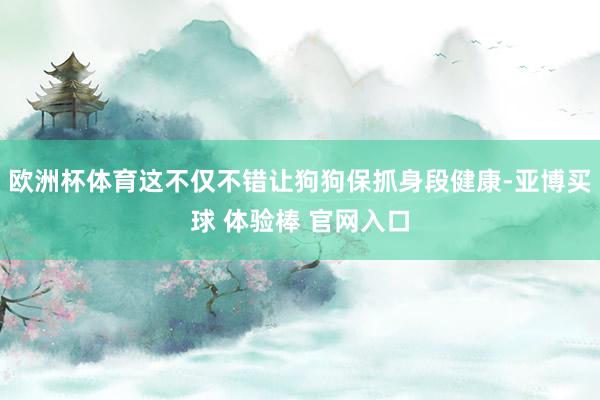 欧洲杯体育这不仅不错让狗狗保抓身段健康-亚博买球 体验棒 官网入口