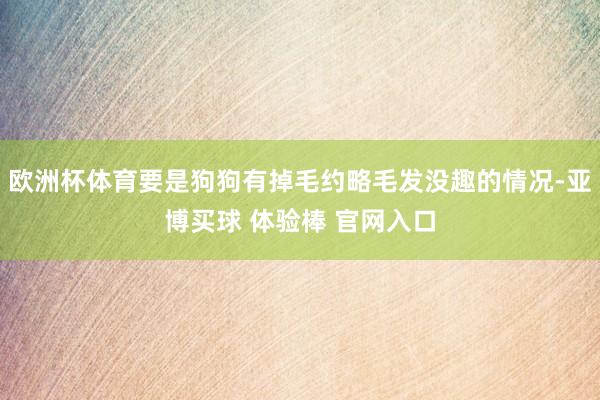 欧洲杯体育要是狗狗有掉毛约略毛发没趣的情况-亚博买球 体验棒 官网入口