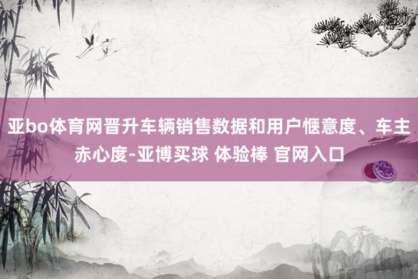 亚bo体育网晋升车辆销售数据和用户惬意度、车主赤心度-亚博买球 体验棒 官网入口