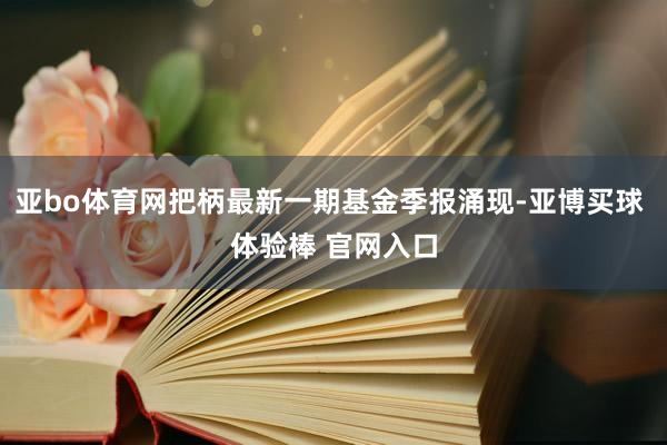 亚bo体育网把柄最新一期基金季报涌现-亚博买球 体验棒 官网入口