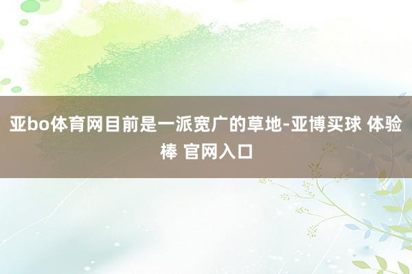 亚bo体育网目前是一派宽广的草地-亚博买球 体验棒 官网入口