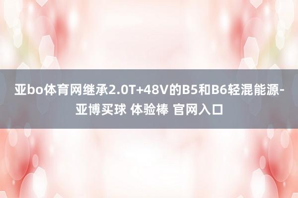 亚bo体育网继承2.0T+48V的B5和B6轻混能源-亚博买球 体验棒 官网入口