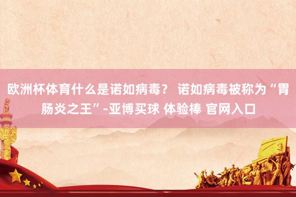 欧洲杯体育什么是诺如病毒？ 诺如病毒被称为“胃肠炎之王”-亚博买球 体验棒 官网入口