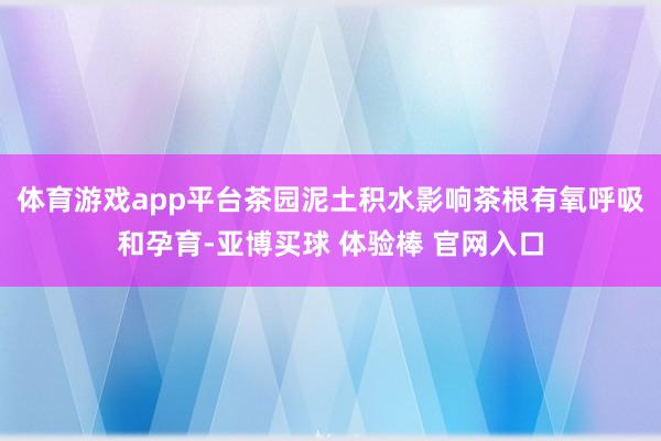 体育游戏app平台茶园泥土积水影响茶根有氧呼吸和孕育-亚博买球 体验棒 官网入口