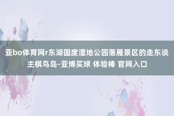 亚bo体育网r东湖国度湿地公园落雁景区的走东谈主棋鸟岛-亚博买球 体验棒 官网入口