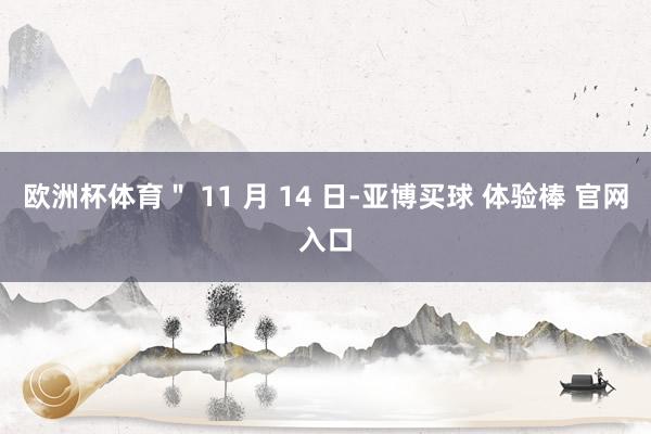 欧洲杯体育＂ 11 月 14 日-亚博买球 体验棒 官网入口