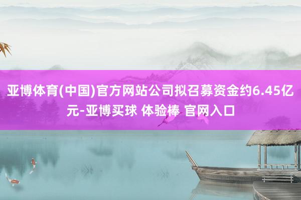 亚博体育(中国)官方网站公司拟召募资金约6.45亿元-亚博买球 体验棒 官网入口