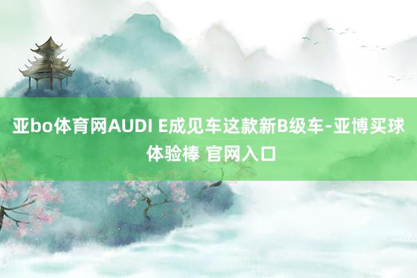 亚bo体育网AUDI E成见车这款新B级车-亚博买球 体验棒 官网入口