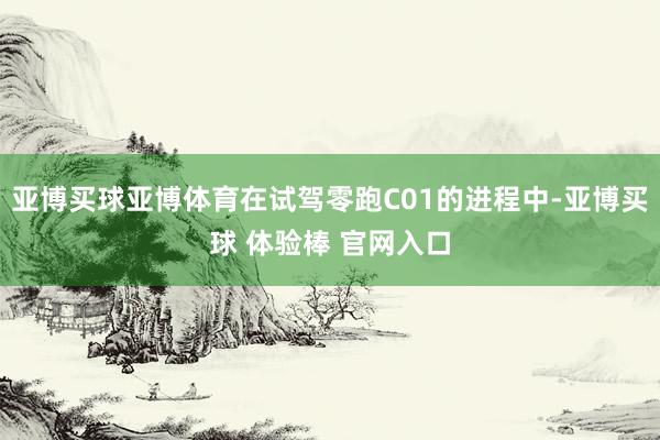 亚博买球亚博体育在试驾零跑C01的进程中-亚博买球 体验棒 官网入口