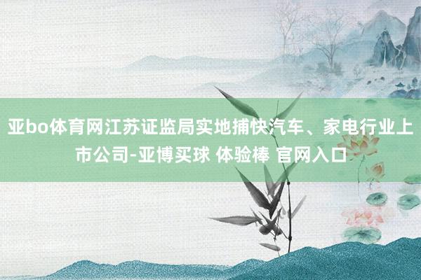 亚bo体育网江苏证监局实地捕快汽车、家电行业上市公司-亚博买球 体验棒 官网入口