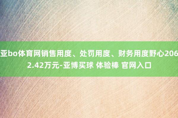 亚bo体育网销售用度、处罚用度、财务用度野心2062.42万元-亚博买球 体验棒 官网入口