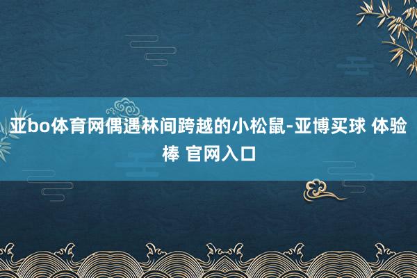 亚bo体育网偶遇林间跨越的小松鼠-亚博买球 体验棒 官网入口