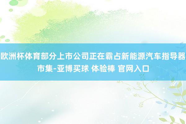 欧洲杯体育部分上市公司正在霸占新能源汽车指导器市集-亚博买球 体验棒 官网入口