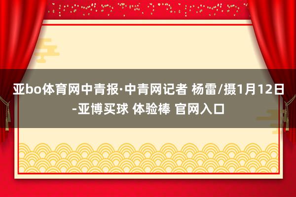 亚bo体育网中青报·中青网记者 杨雷/摄1月12日-亚博买球 体验棒 官网入口