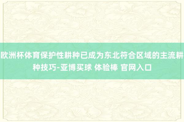 欧洲杯体育保护性耕种已成为东北符合区域的主流耕种技巧-亚博买球 体验棒 官网入口