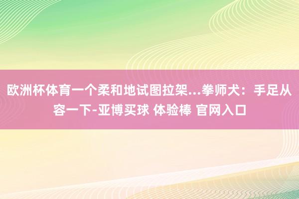 欧洲杯体育一个柔和地试图拉架...拳师犬：手足从容一下-亚博买球 体验棒 官网入口