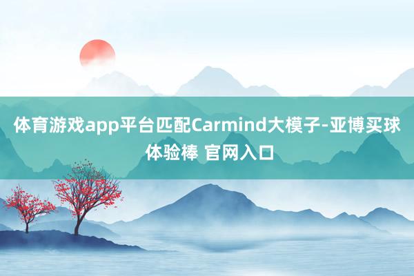 体育游戏app平台匹配Carmind大模子-亚博买球 体验棒 官网入口