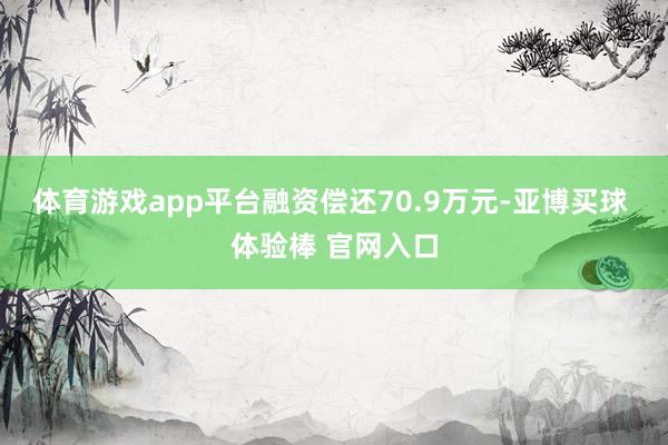 体育游戏app平台融资偿还70.9万元-亚博买球 体验棒 官网入口