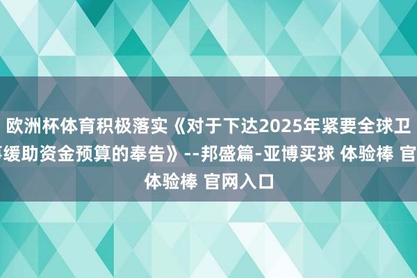 欧洲杯体育积极落实《对于下达2025年紧要全球卫生管事缓助资金预算的奉告》--邦盛篇-亚博买球 体验棒 官网入口